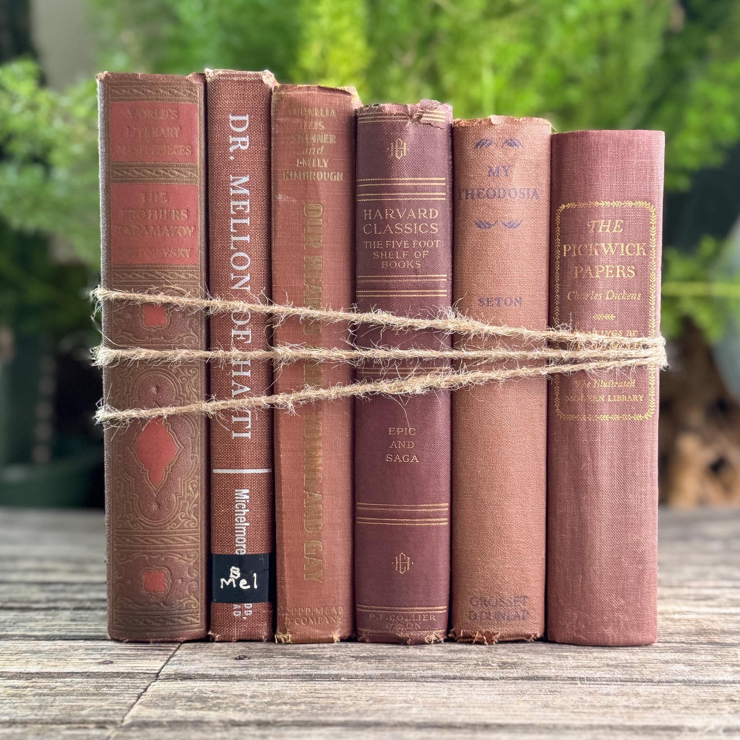 Copper Brown Warm Vintage Book Set