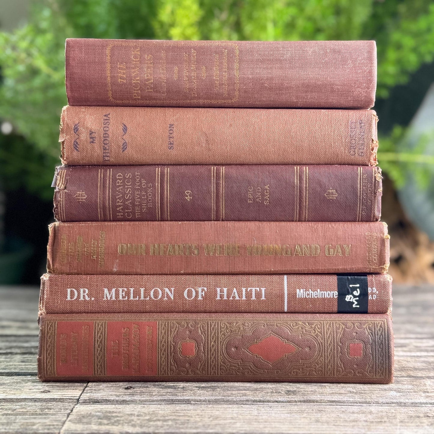 Copper Brown Warm Vintage Book Set