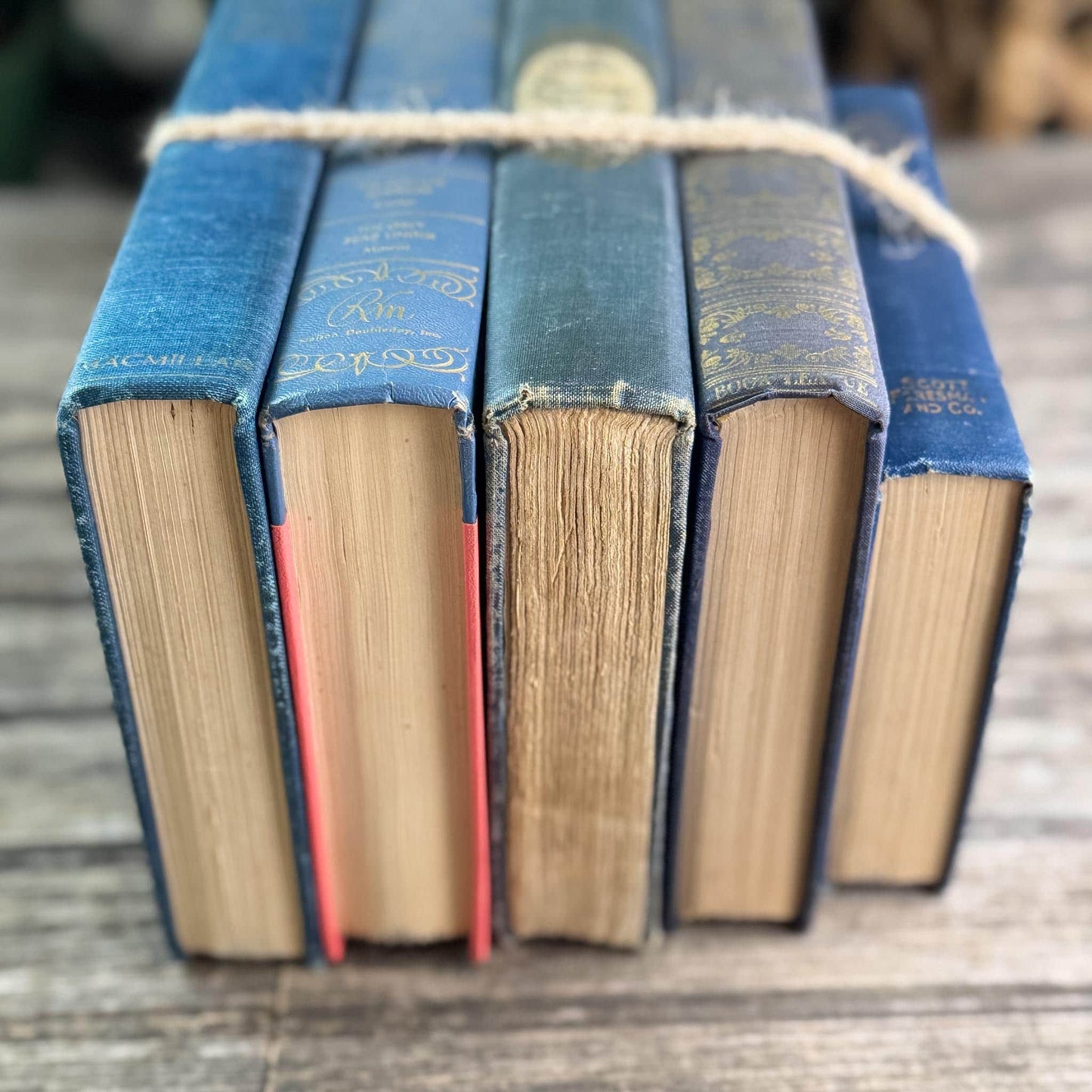 Ornate Blue and Gold Vintage Book Set for Moody Shelf Styling