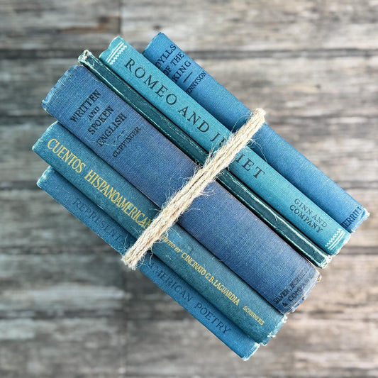 Antique Blue Small School Books and Classics For Styling, Tennyson, Shakepeare