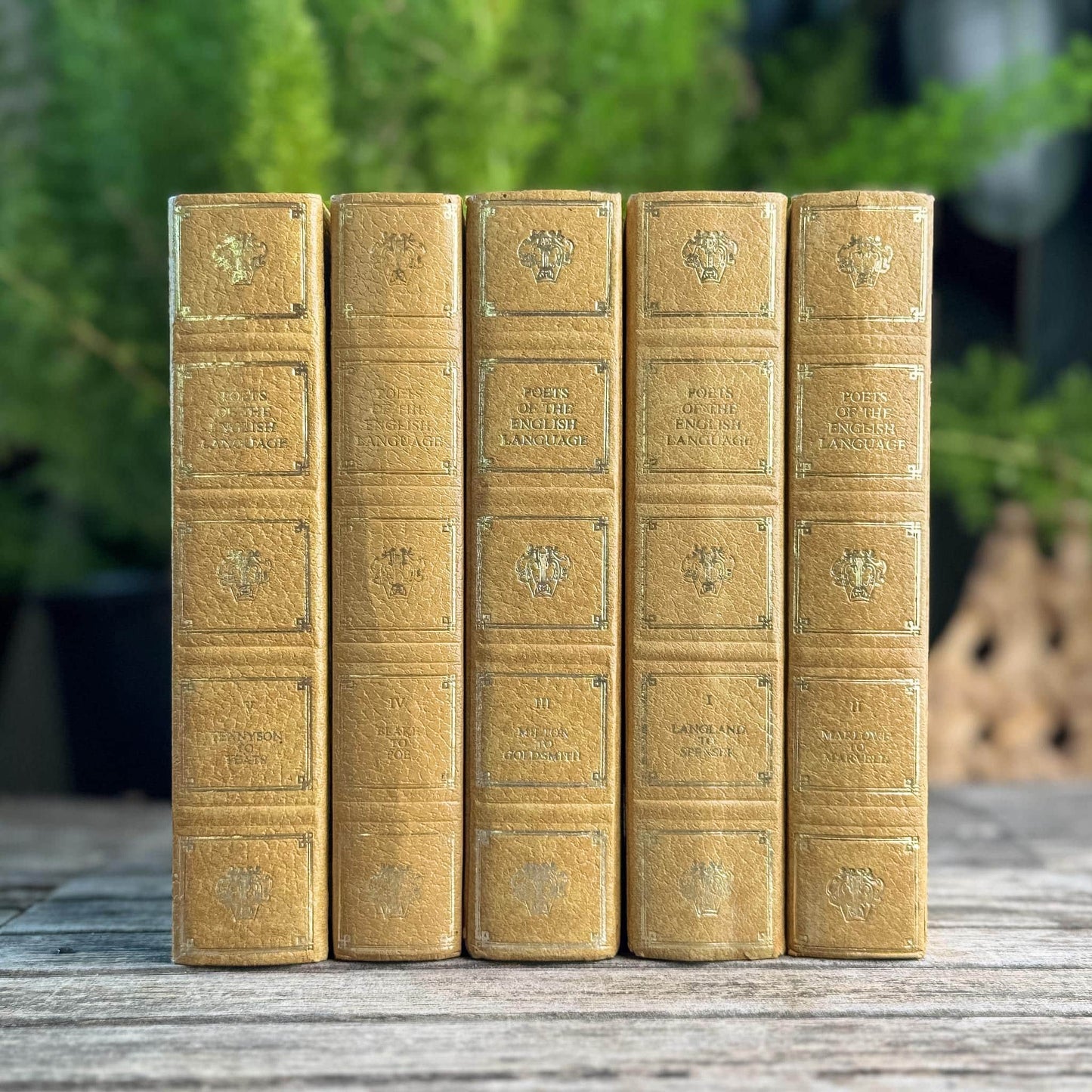 Ornate Vintage Gold and Silver Poets of the English Language Book Set