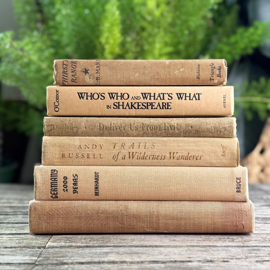Peachy Taupe Neutral Vintage Book Bundle