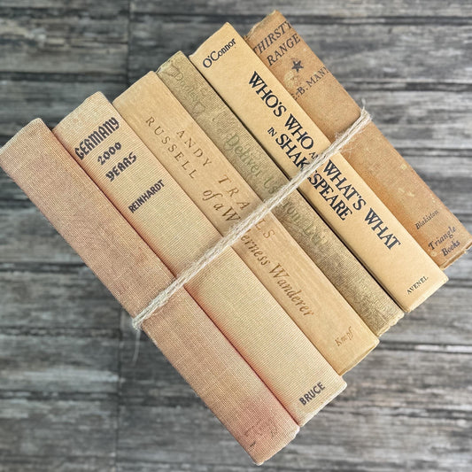 Peachy Taupe Neutral Vintage Book Bundle
