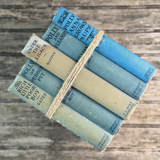 Children's Faded Blue Vintage Book Bundle with Under the Lilacs, Polly Books, and Pollyanna