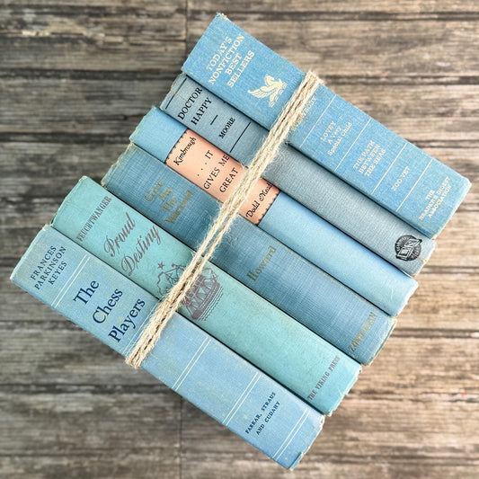 Light Blue Vintage Book Bundle for Cozy Coastal Decor