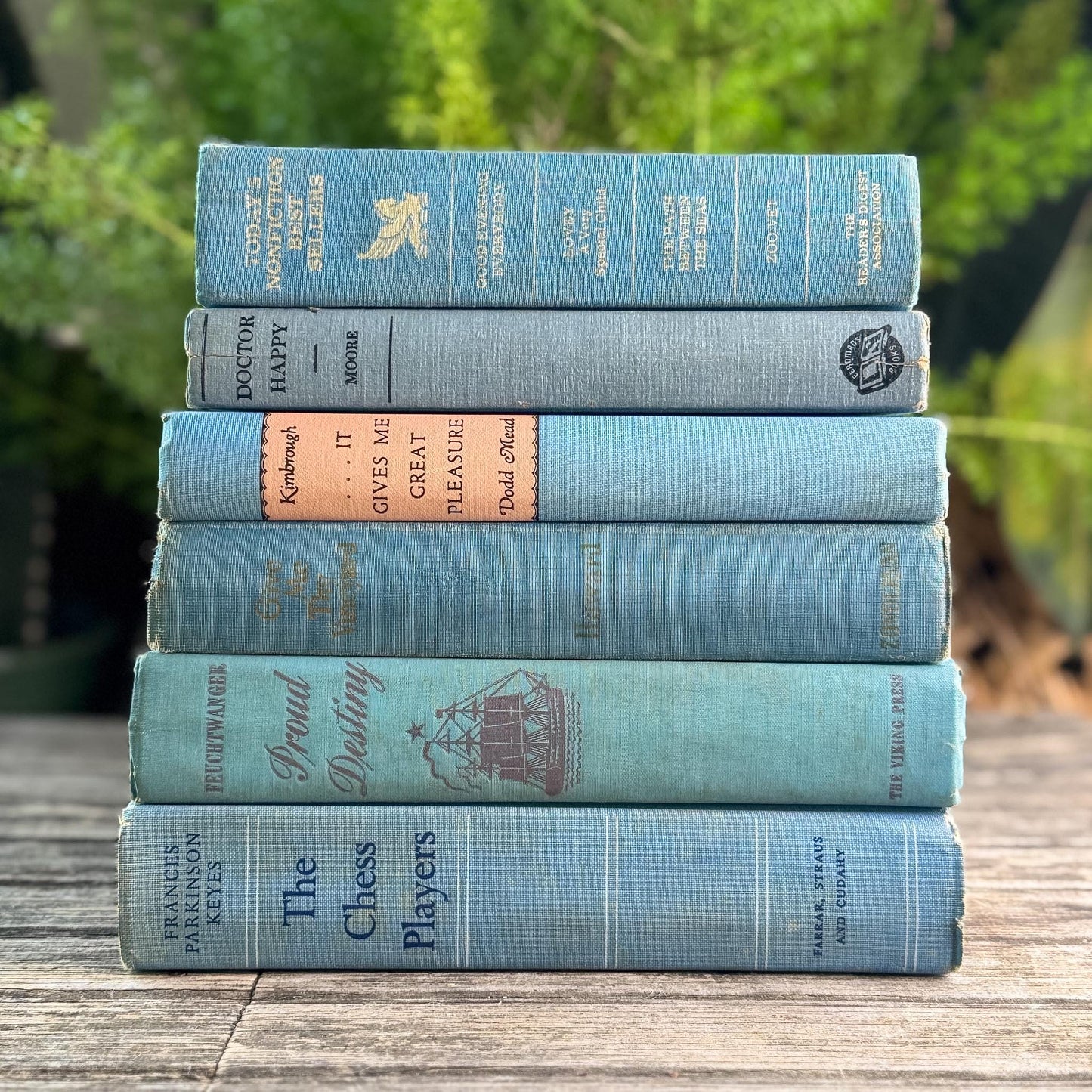 Light Blue Vintage Book Bundle for Cozy Coastal Decor
