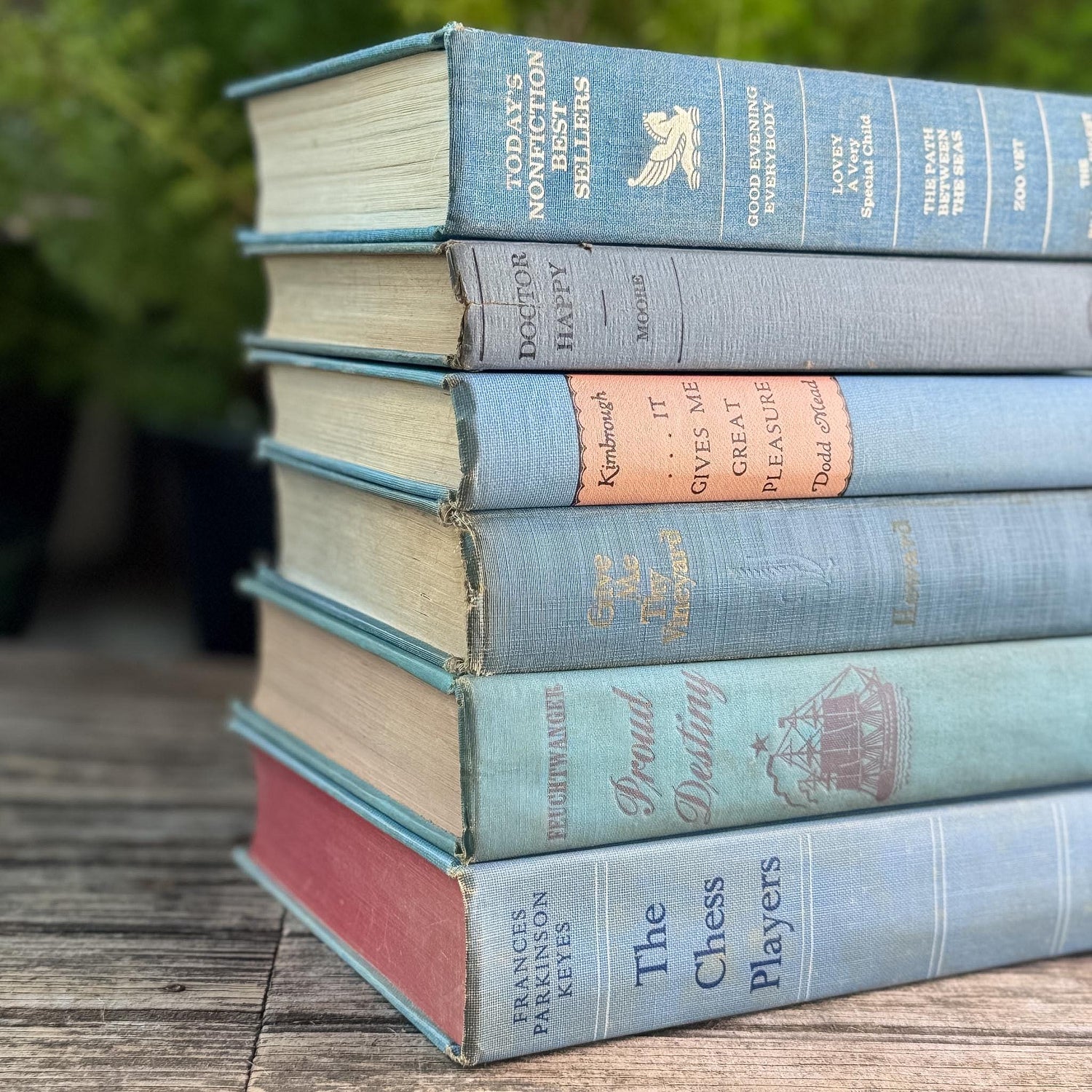 Light Blue Vintage Book Bundle for Cozy Coastal Decor