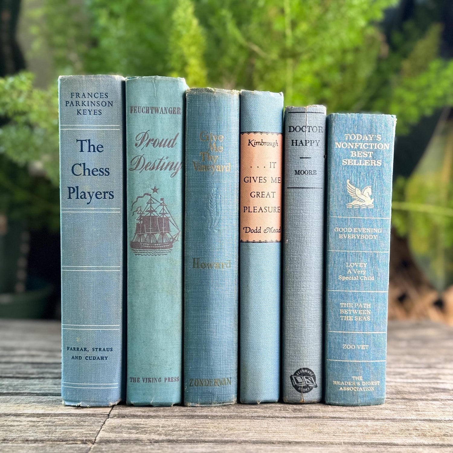 Light Blue Vintage Book Bundle for Cozy Coastal Decor