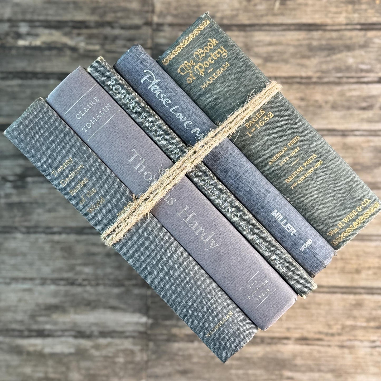 Gray Clean Minimalist Vintage Book Bundle for Masculine Shelf Decor