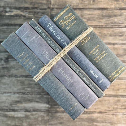 Gray Clean Minimalist Vintage Book Bundle for Masculine Shelf Decor