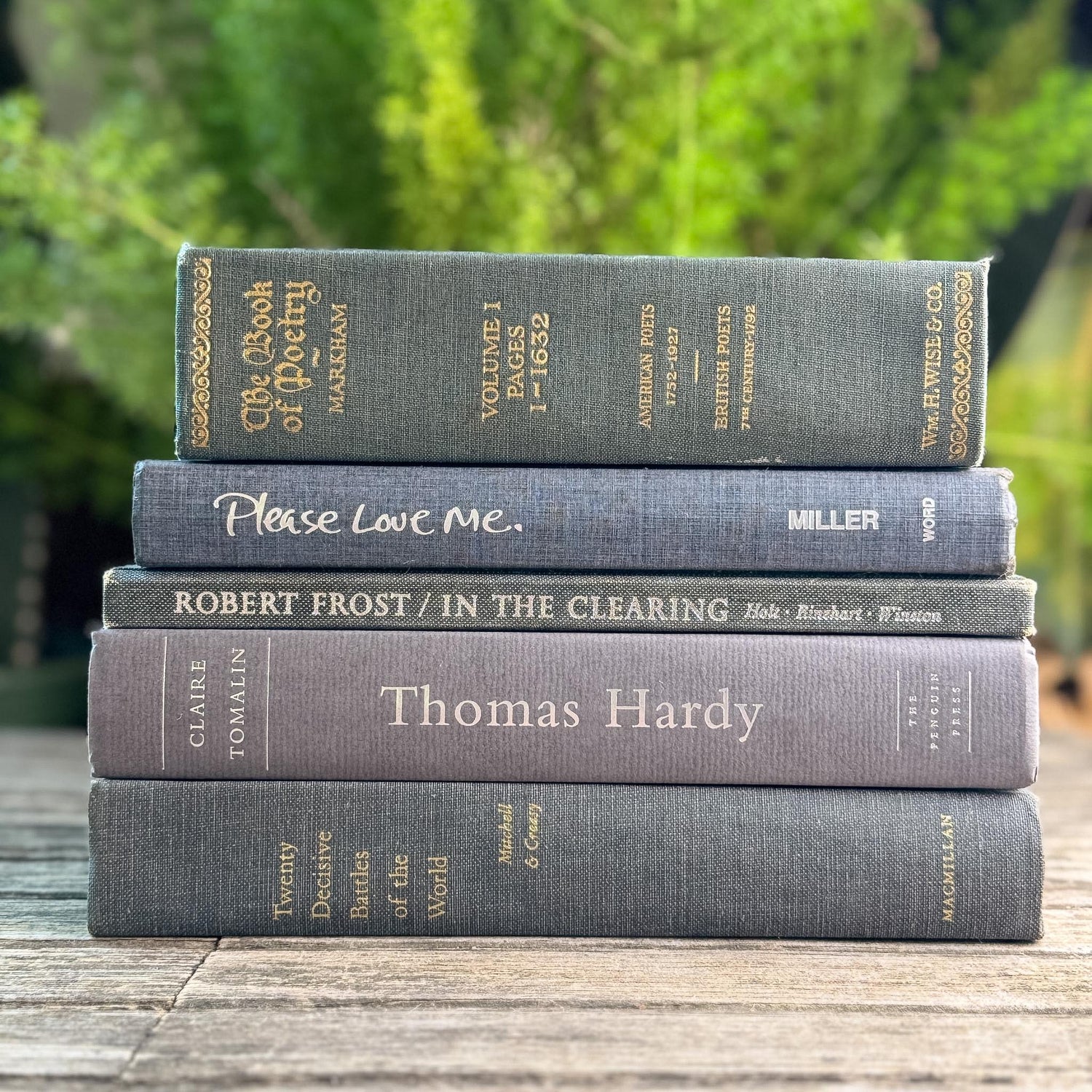 Gray Clean Minimalist Vintage Book Bundle for Masculine Shelf Decor