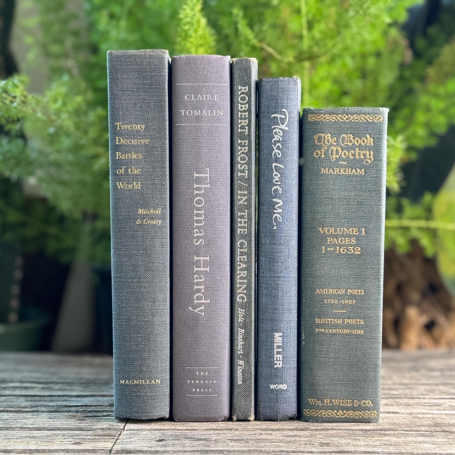 Gray Clean Minimalist Vintage Book Bundle for Masculine Shelf Decor