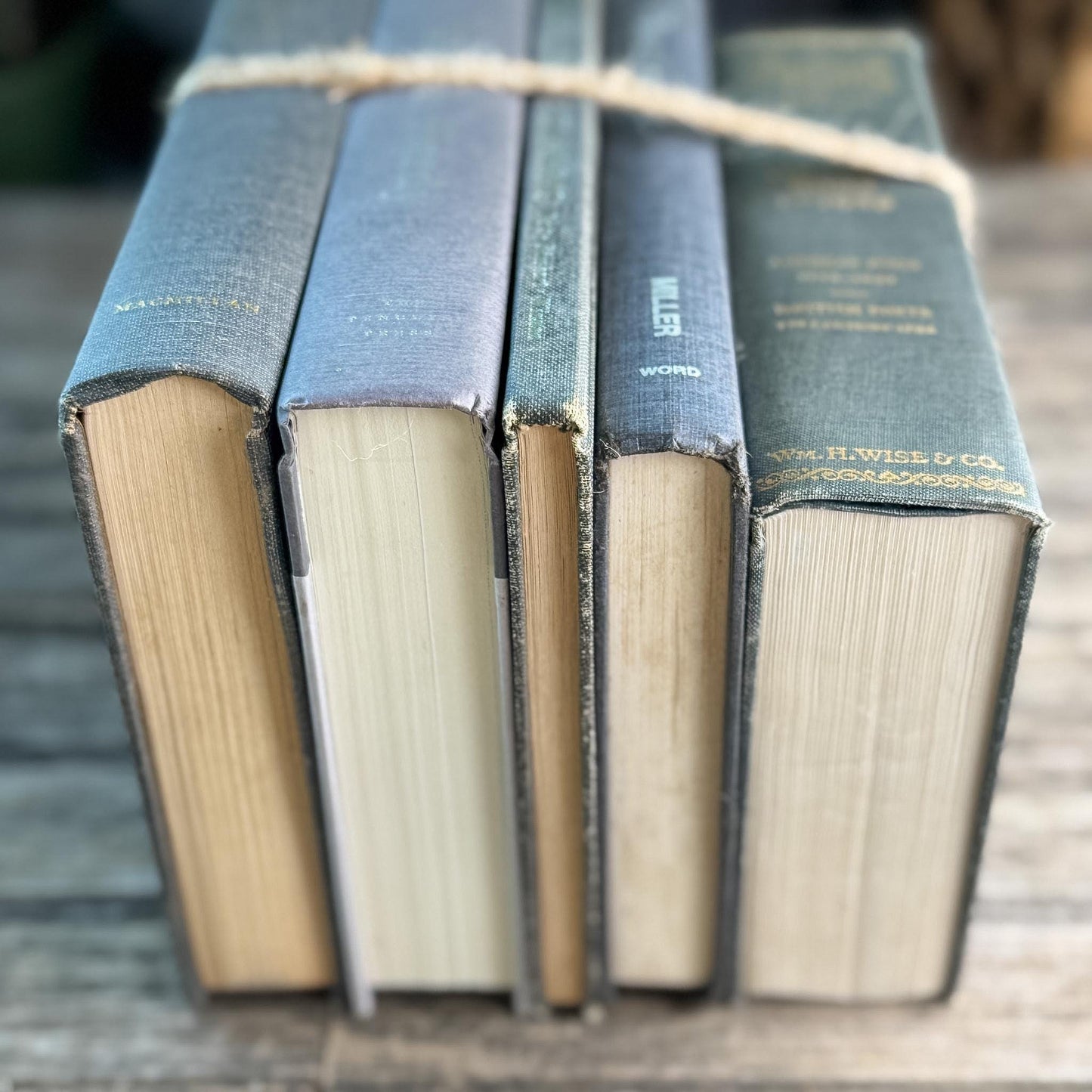 Gray Clean Minimalist Vintage Book Bundle for Masculine Shelf Decor