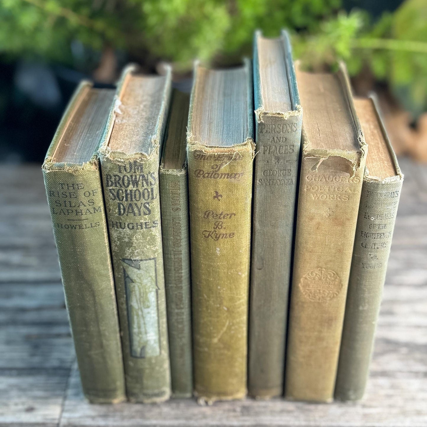 Shabby Antique Green Book Bundle for Moody Shelf Styling