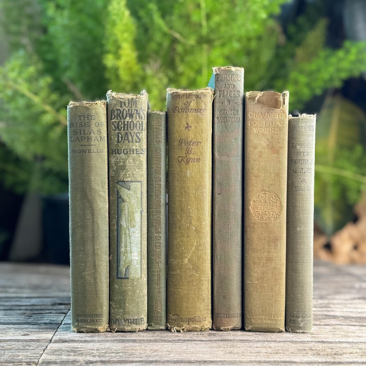 Shabby Antique Green Book Bundle for Moody Shelf Styling