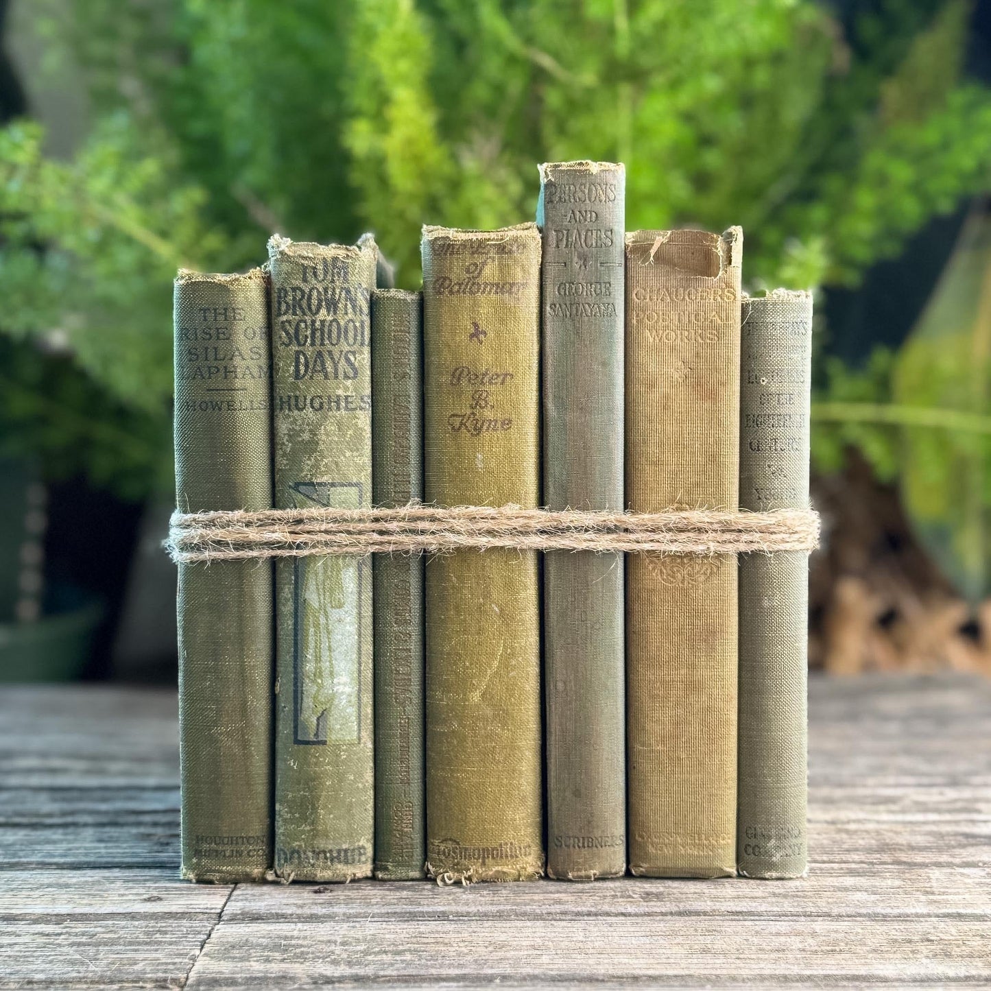 Shabby Antique Green Book Bundle for Moody Shelf Styling