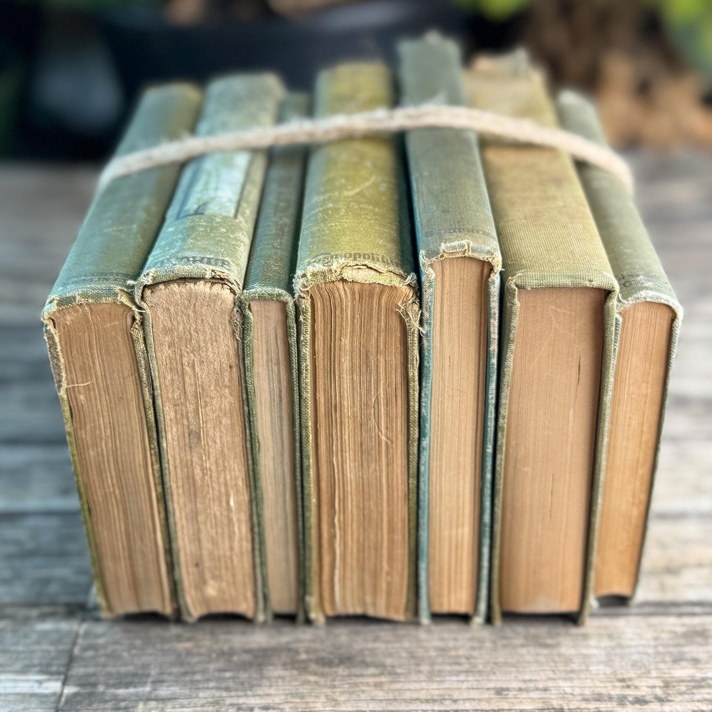 Shabby Antique Green Book Bundle for Moody Shelf Styling