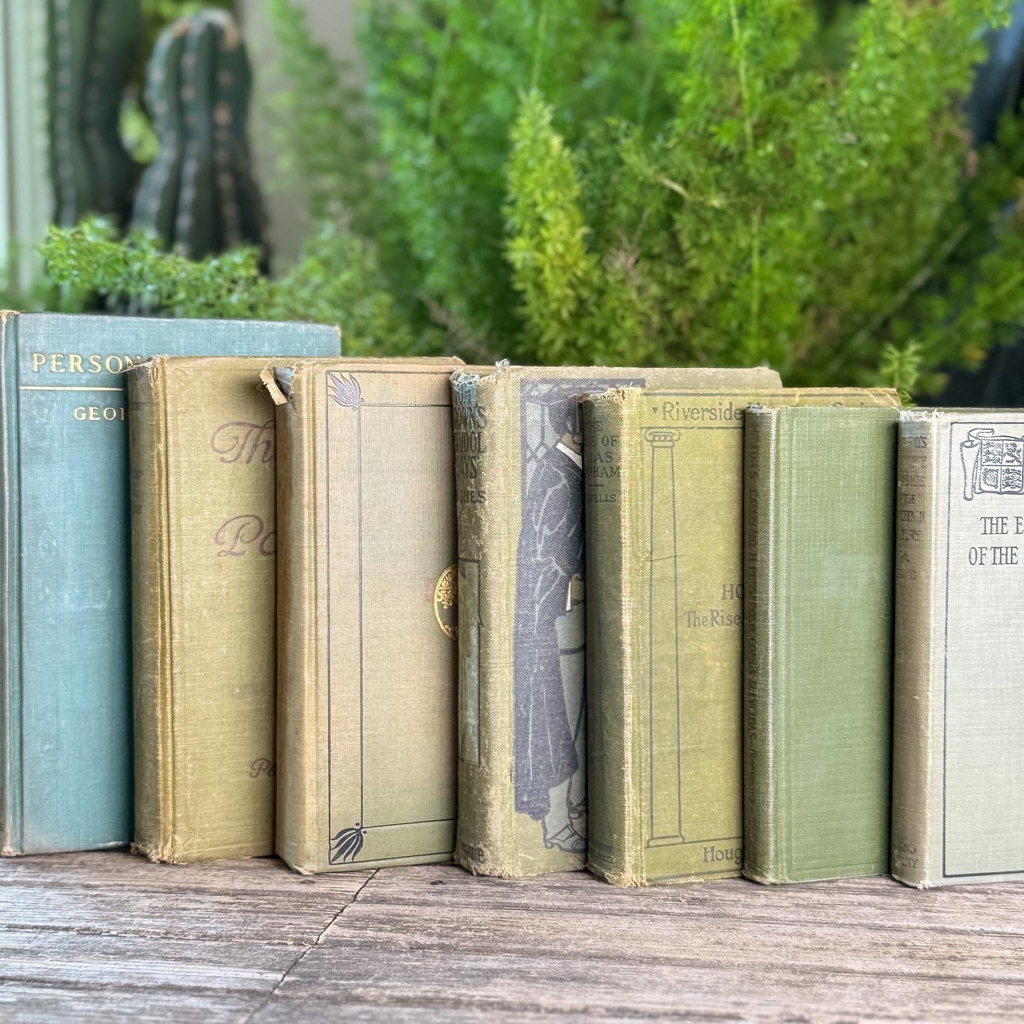 Shabby Antique Green Book Bundle for Moody Shelf Styling