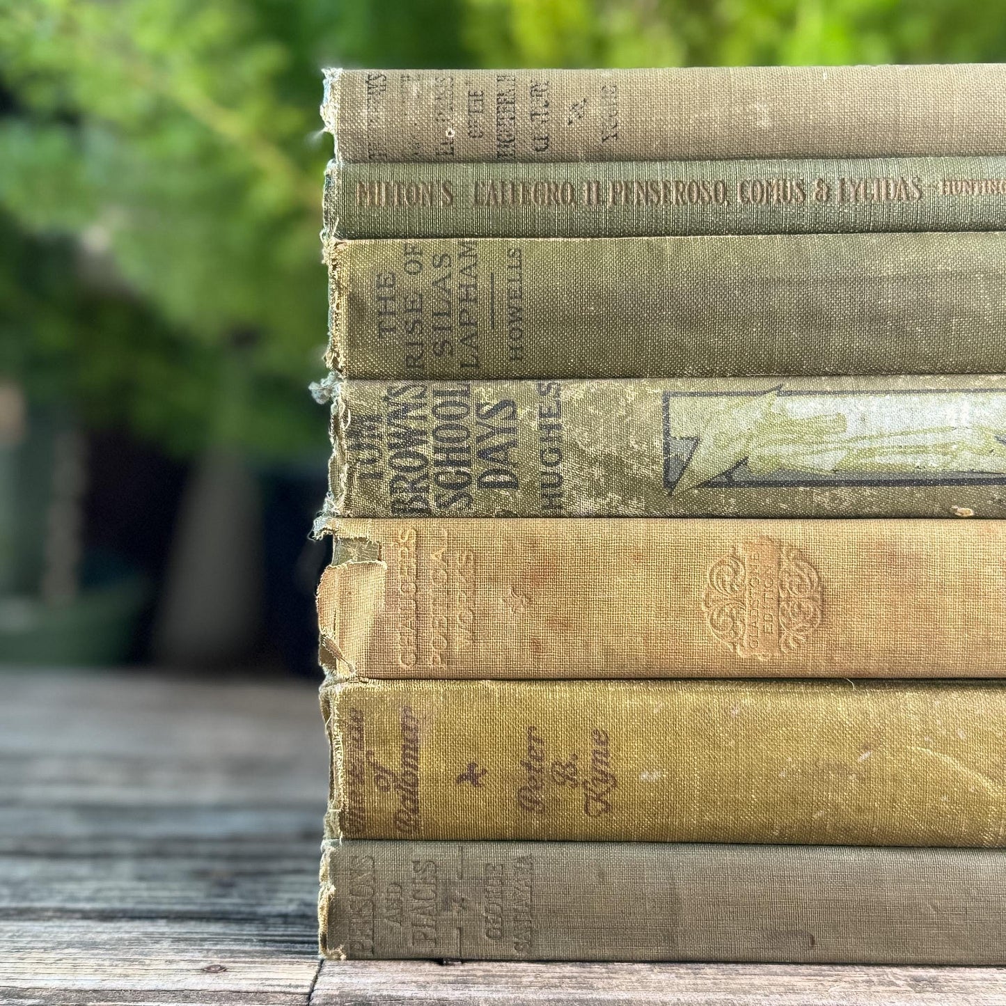 Shabby Antique Green Book Bundle for Moody Shelf Styling