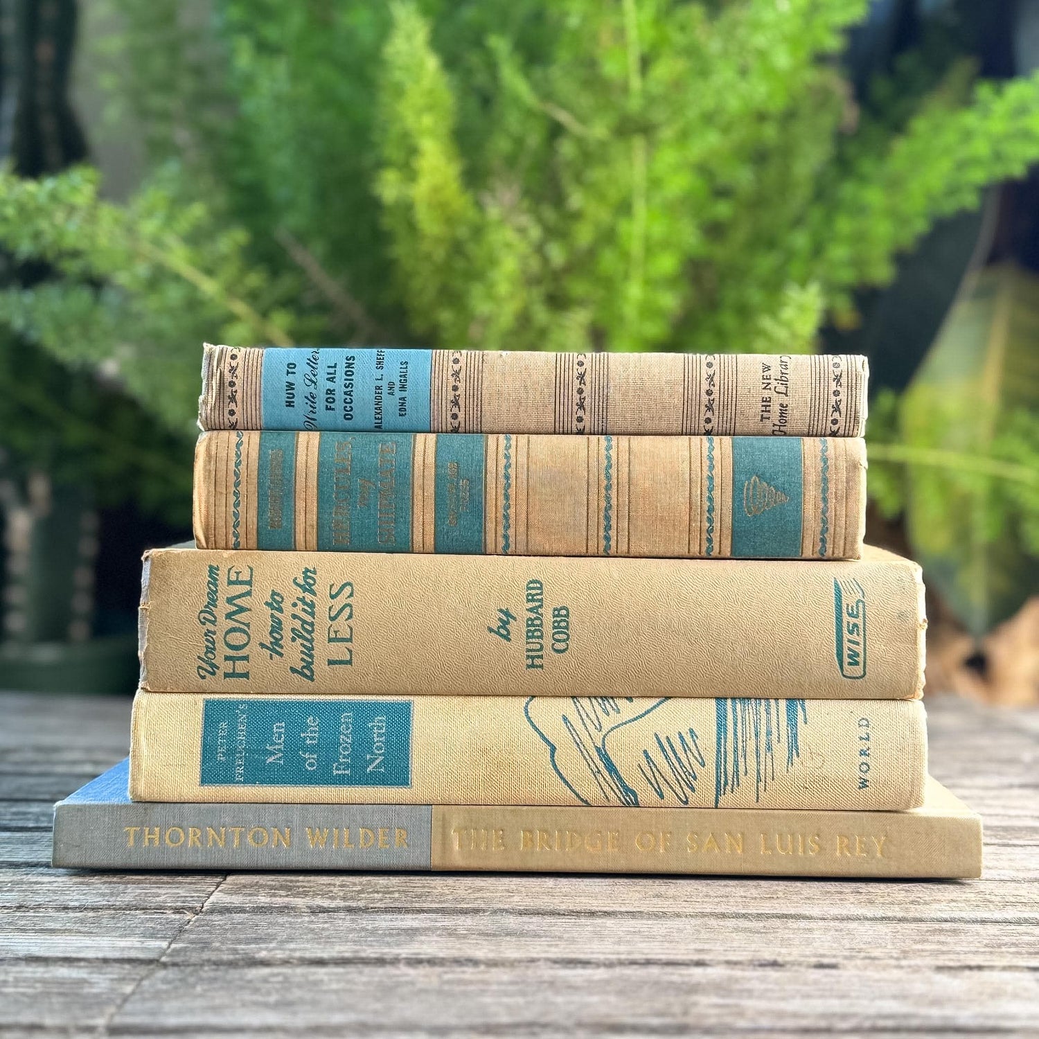 Blue & Tan Soft and Cozy Vintage Book Bundle