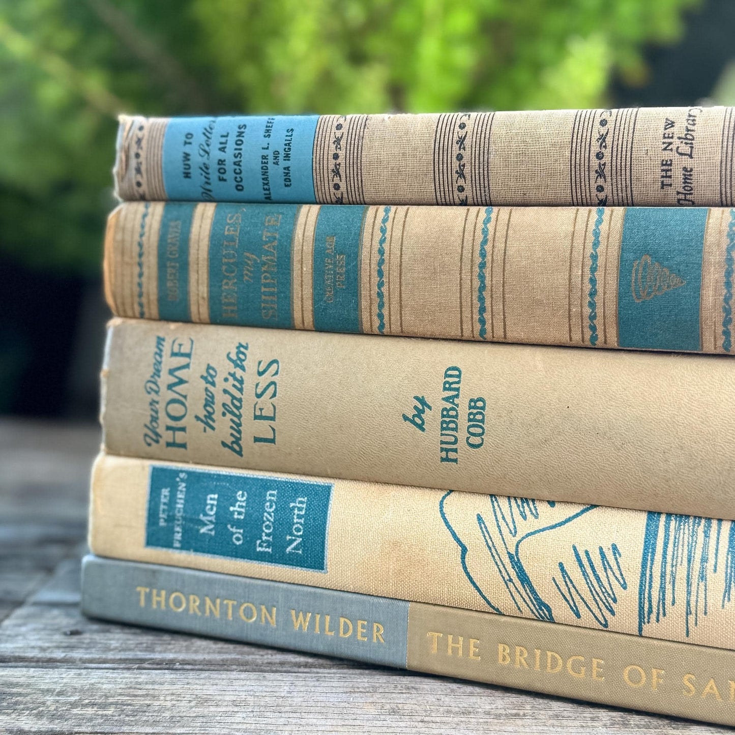 Blue & Tan Soft and Cozy Vintage Book Bundle