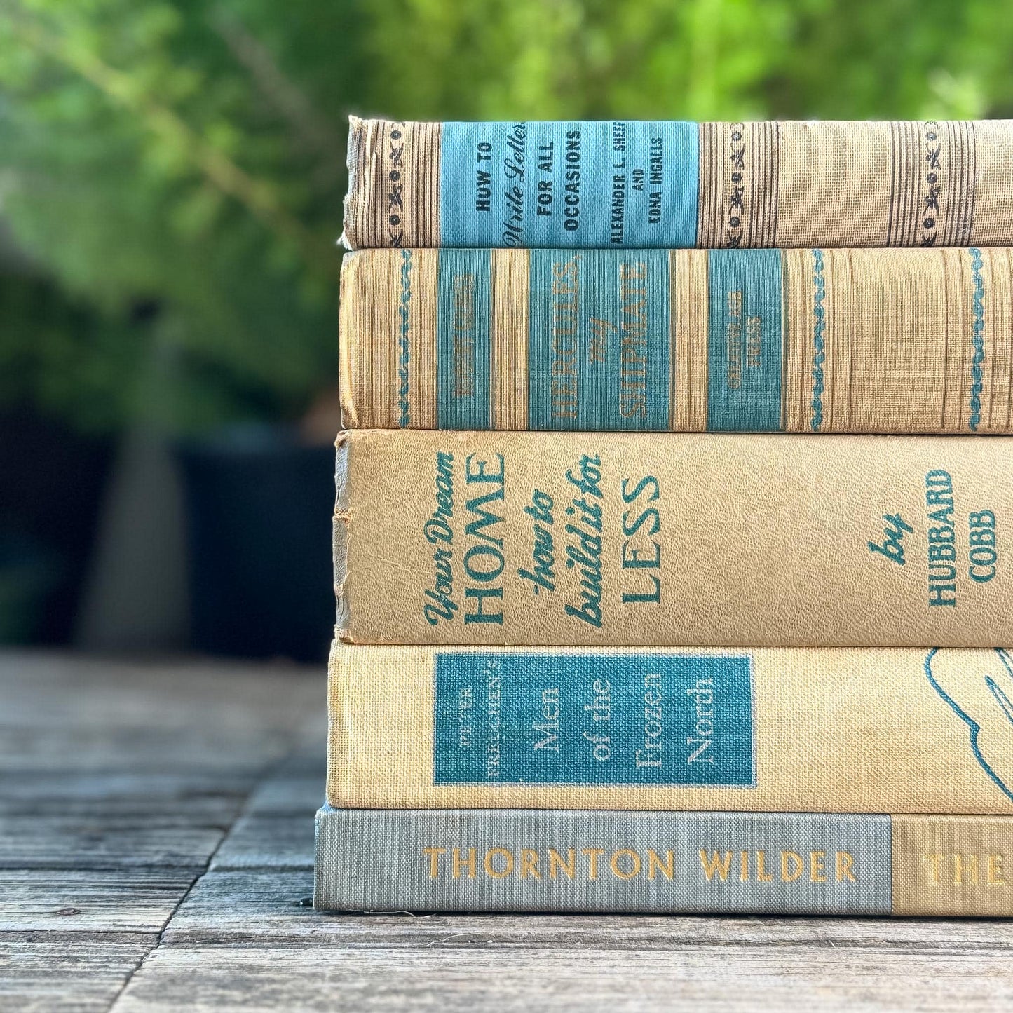 Blue & Tan Soft and Cozy Vintage Book Bundle