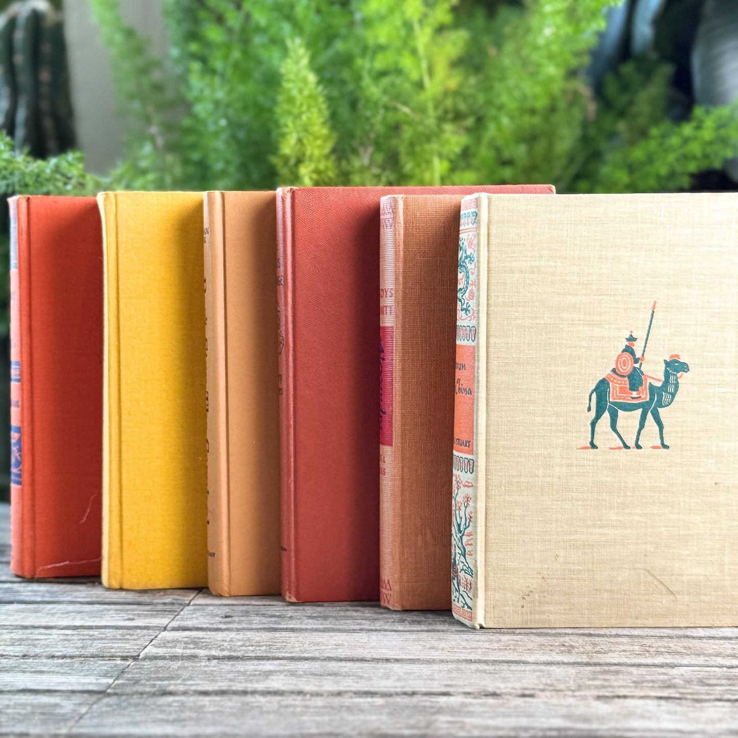 Retro Orange, Terra Cotta, Mustard Yellow Vintage Book Bundle
