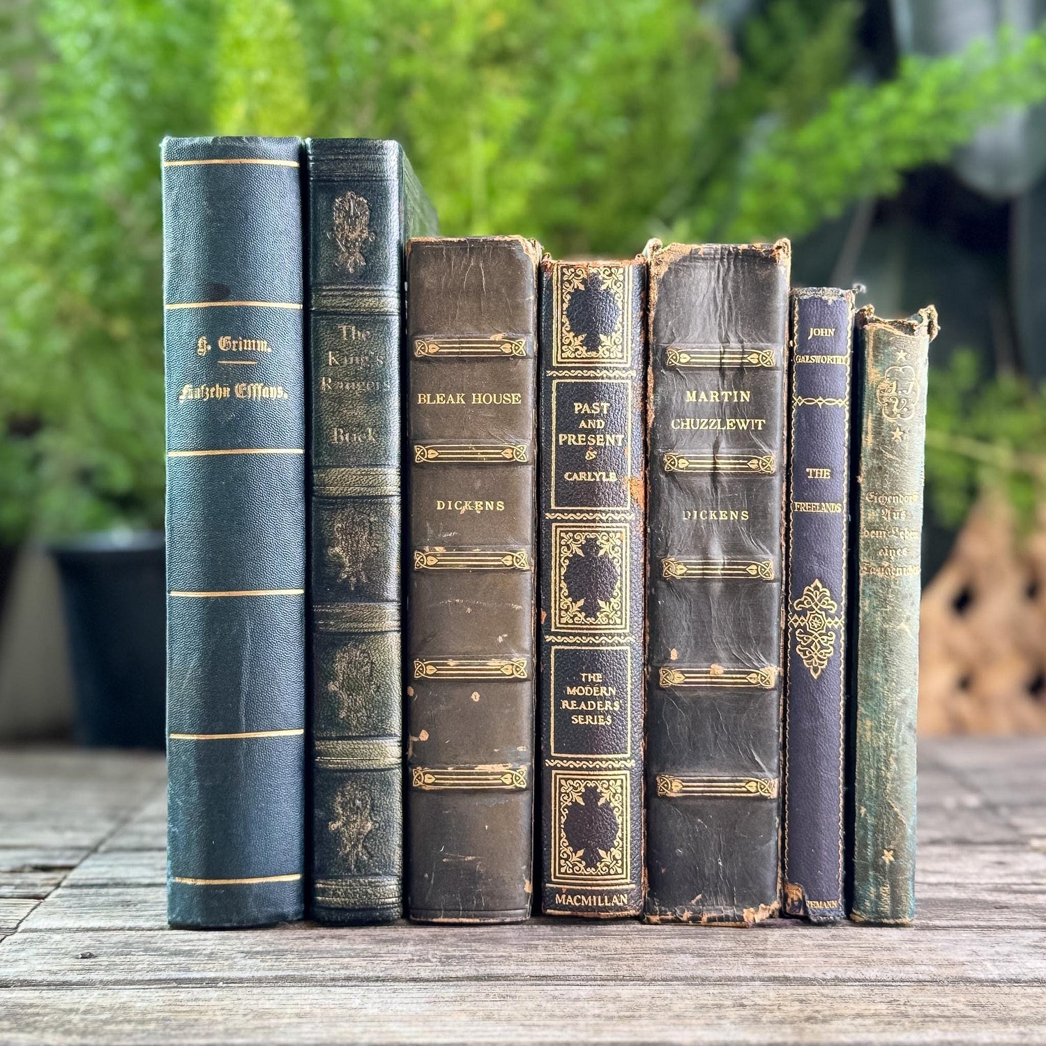 Antique Leather-Bound Worn and Shabby Books