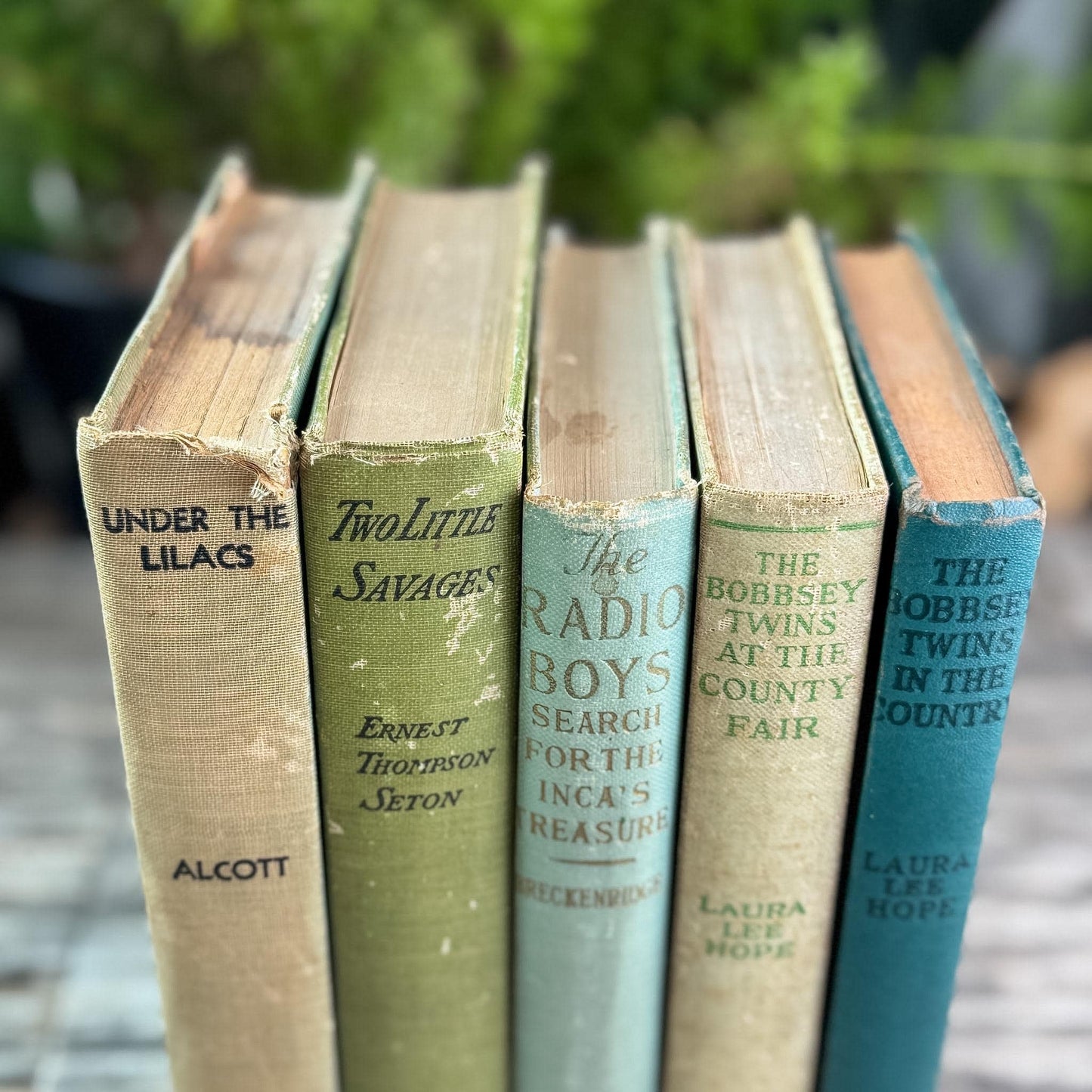 Antique Green Children's Book Bundle for Shelf Styling