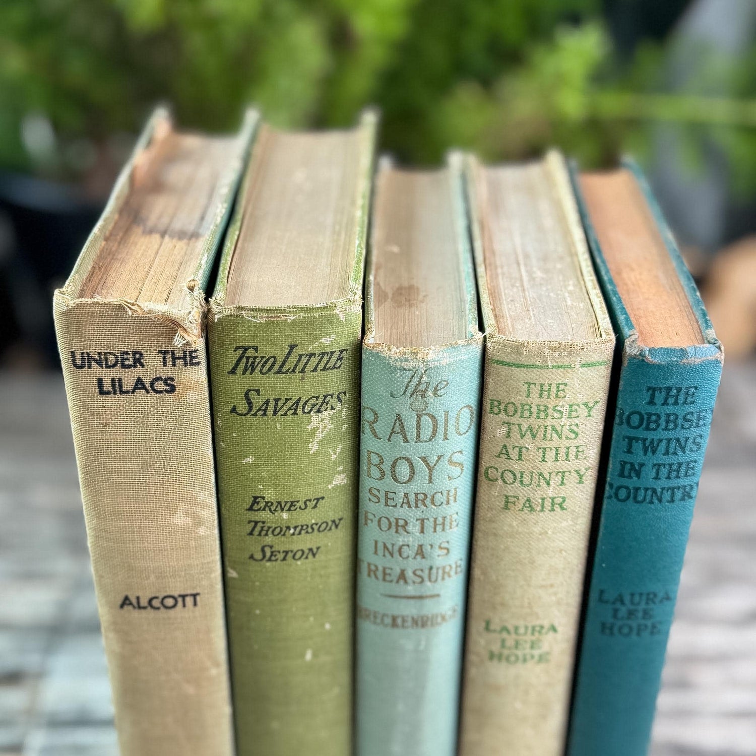 Antique Green Children's Book Bundle for Shelf Styling