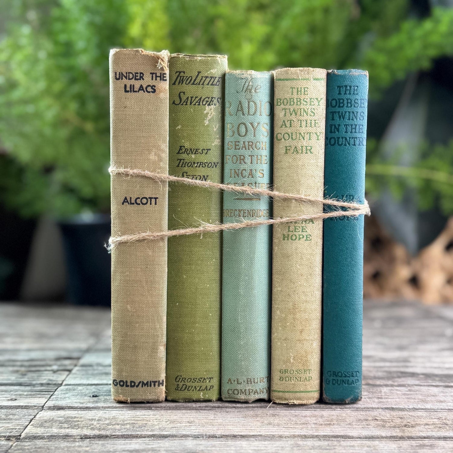 Antique Green Children's Book Bundle for Shelf Styling