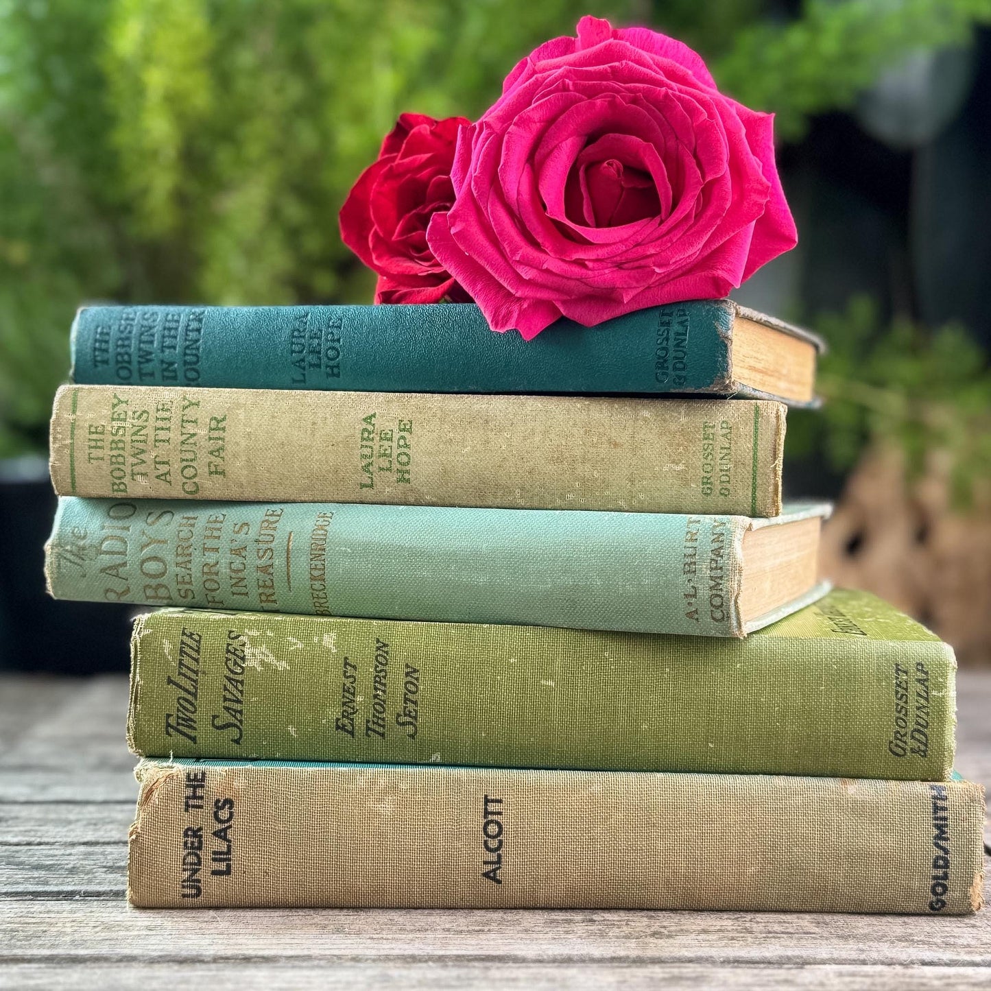 Antique Green Children's Book Bundle for Shelf Styling