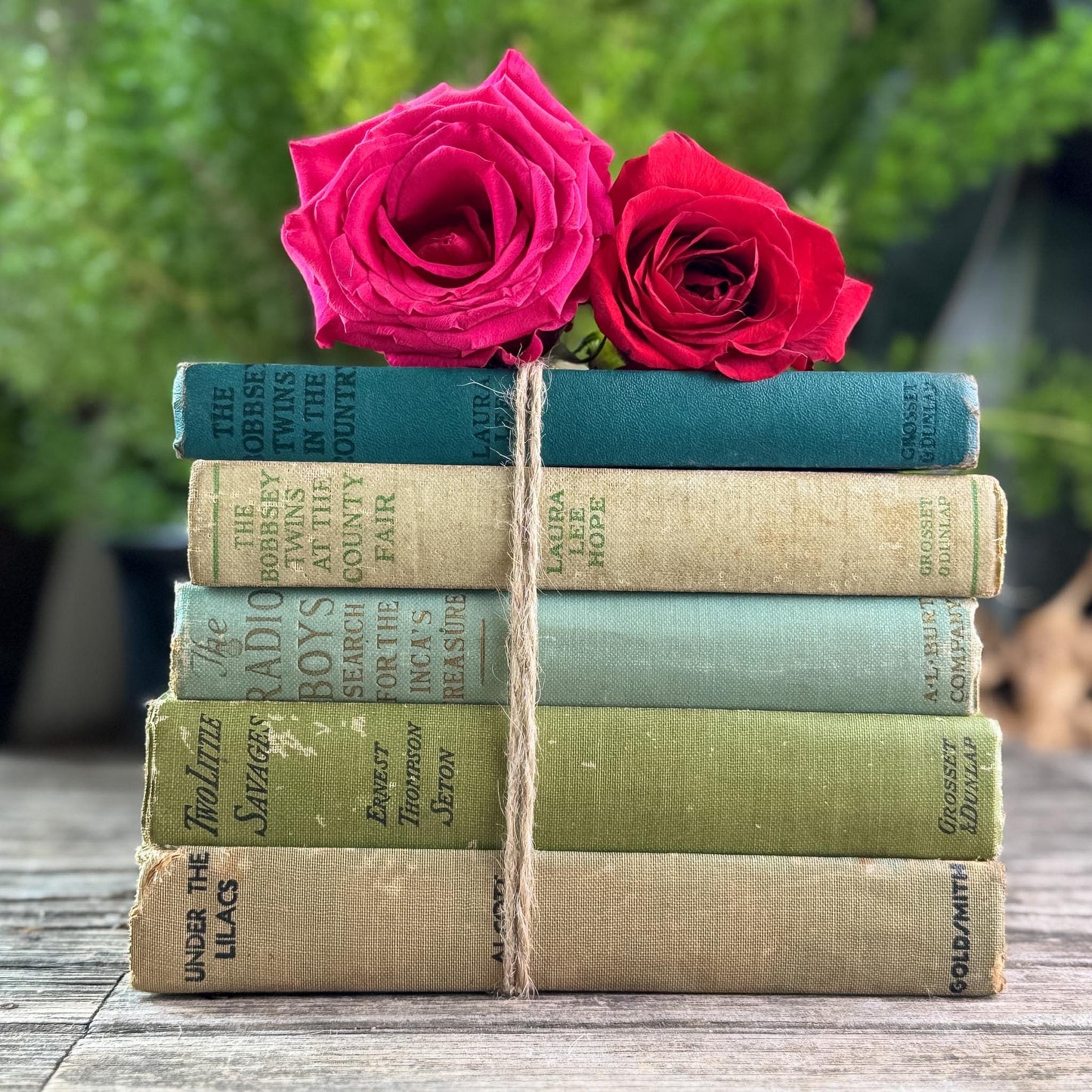 Antique Green Children's Book Bundle for Shelf Styling