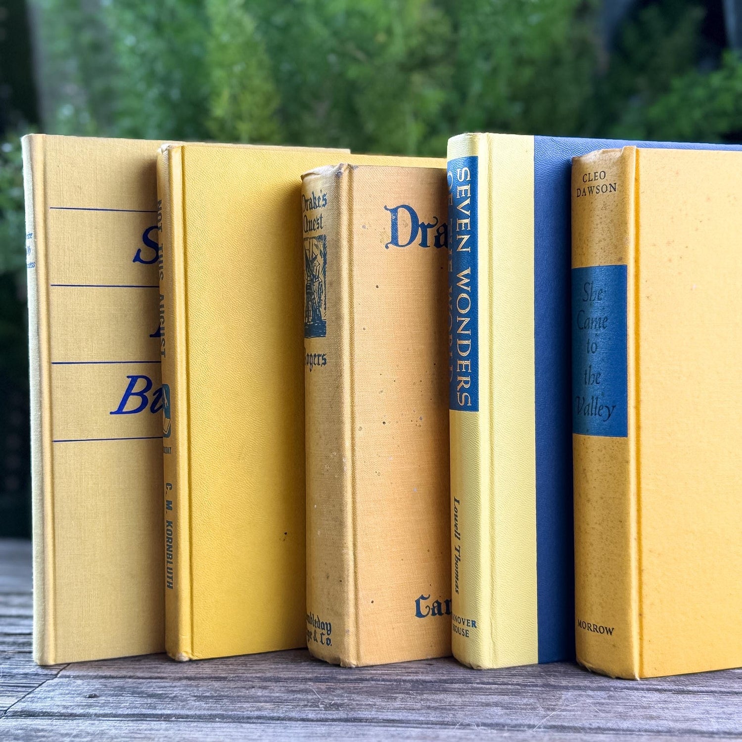 Bright Yellow and Blue Vintage Book Bundle for Shelf Styling