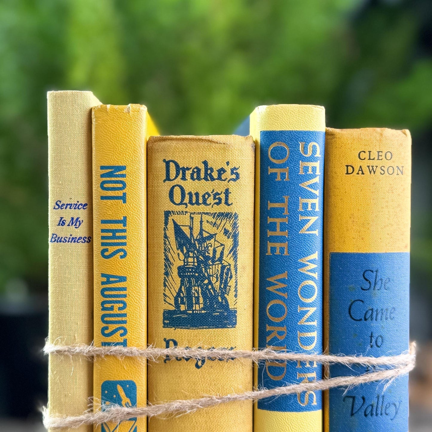Bright Yellow and Blue Vintage Book Bundle for Shelf Styling