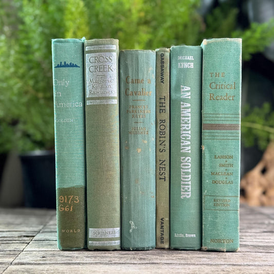 Faded Vintage Sage Green Books for Display