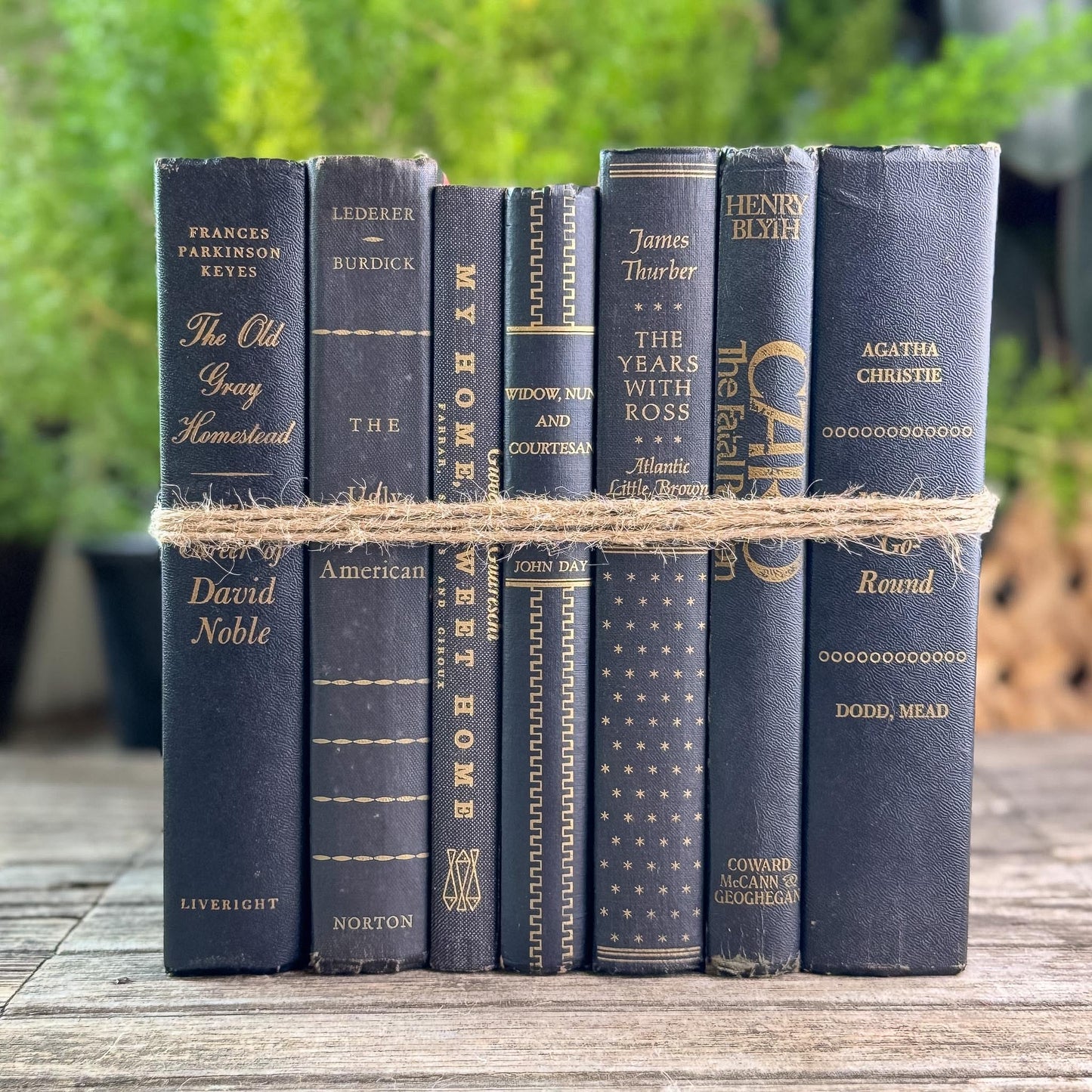 Black and Gold Vintage Books for Moody Shelf Styling