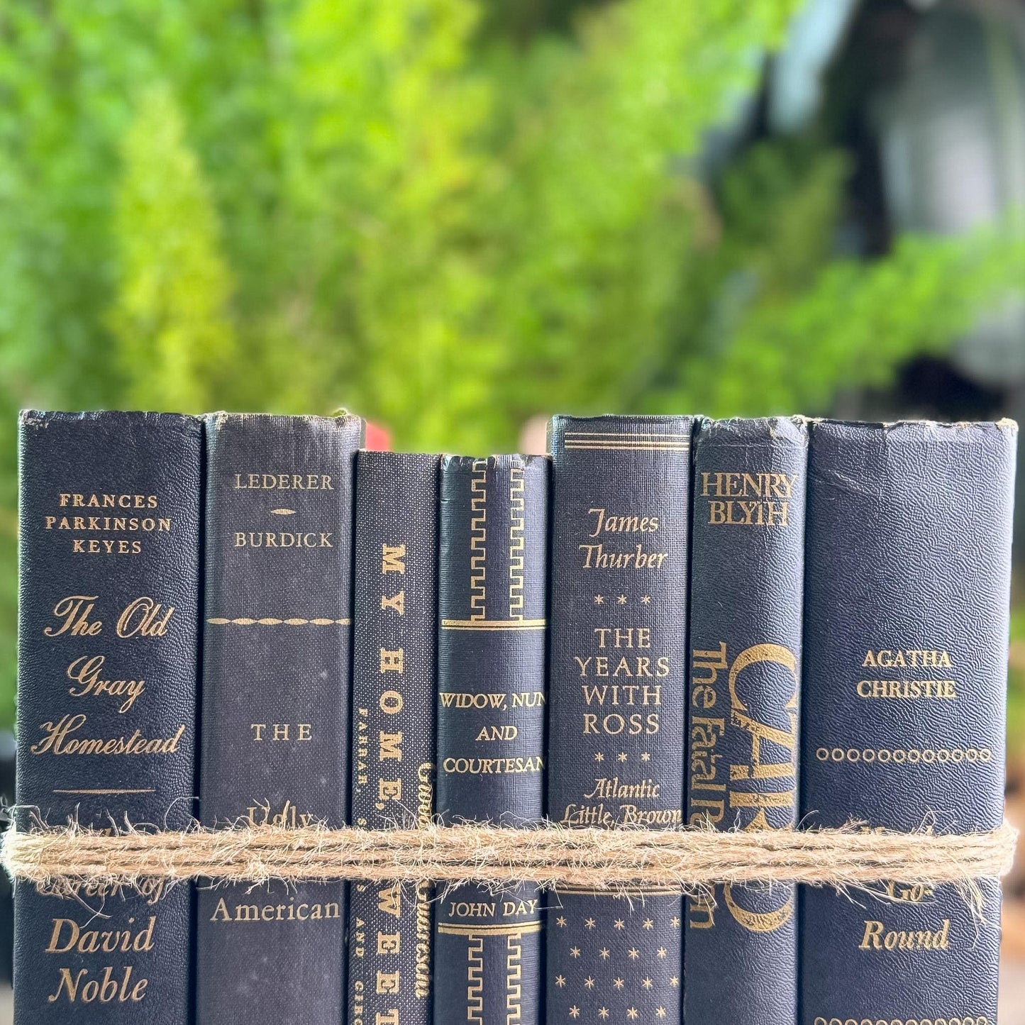 Black and Gold Vintage Books for Moody Shelf Styling