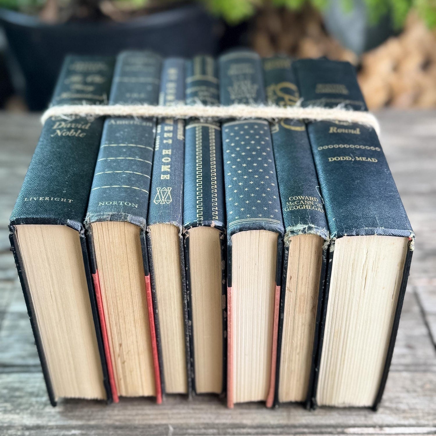 Black and Gold Vintage Books for Moody Shelf Styling