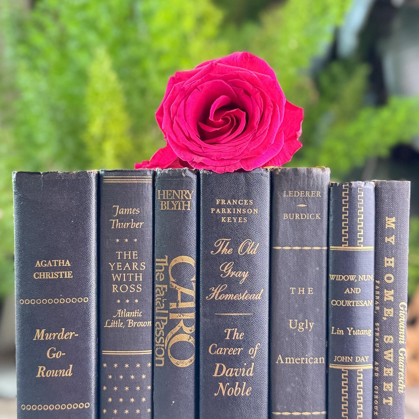 Black and Gold Vintage Books for Moody Shelf Styling