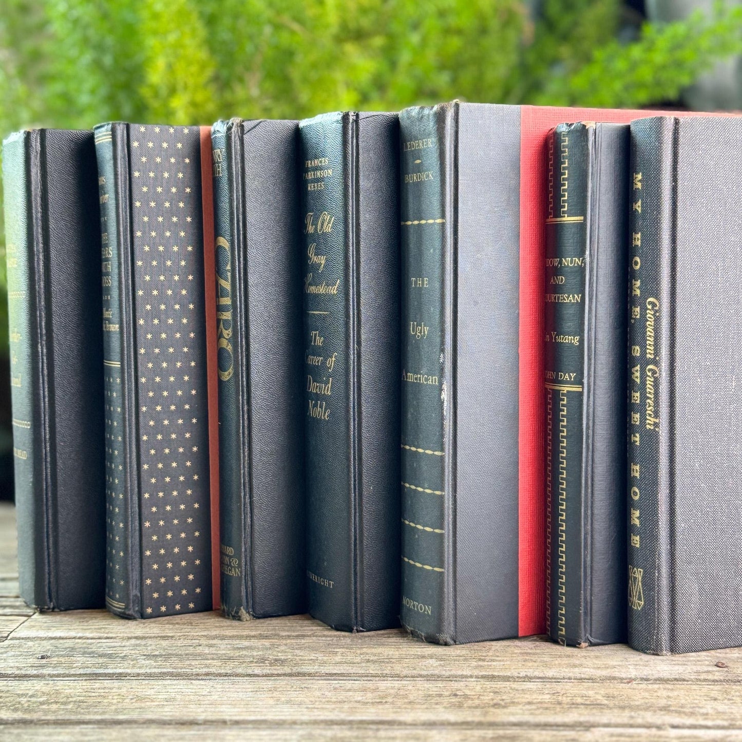Black and Gold Vintage Books for Moody Shelf Styling