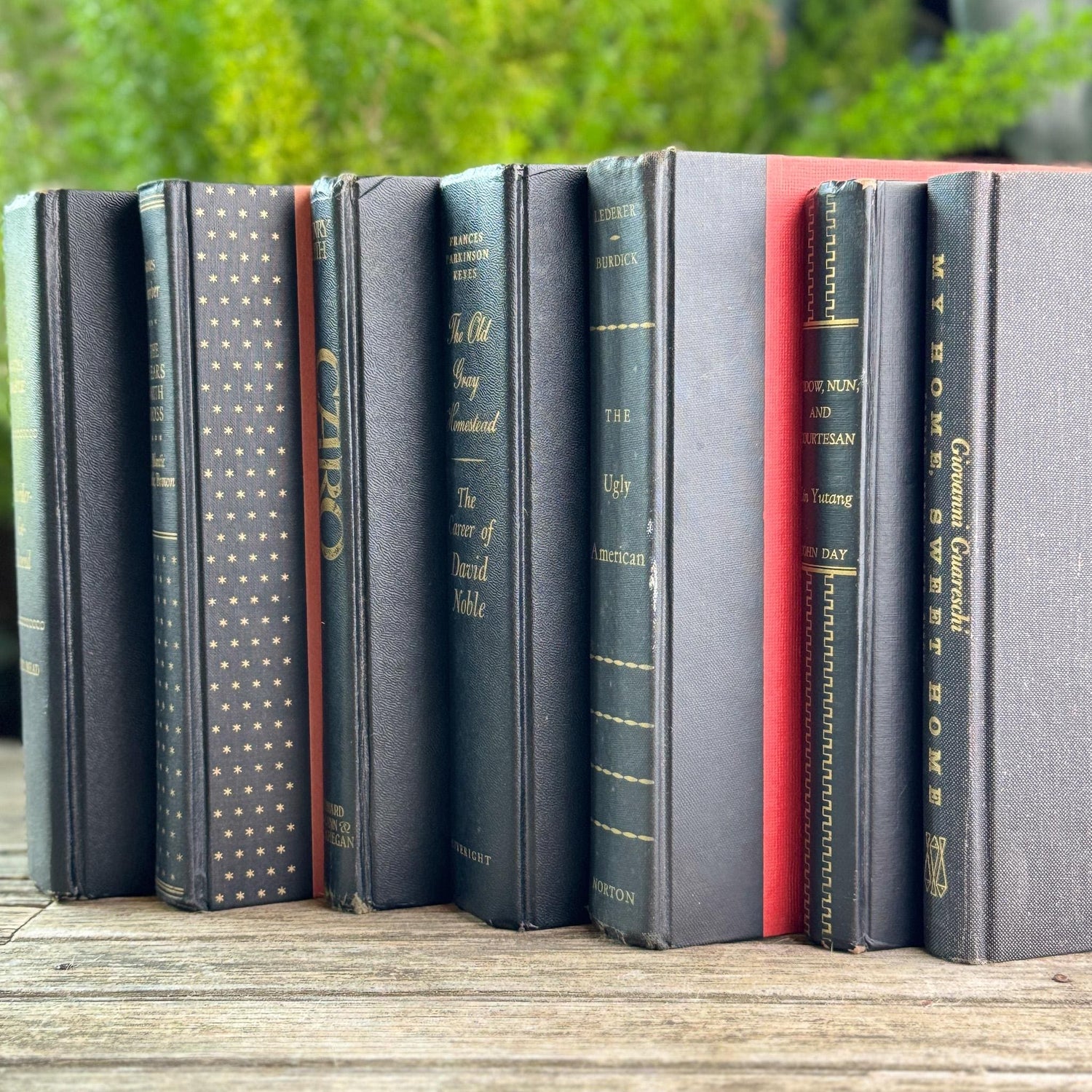 Black and Gold Vintage Books for Moody Shelf Styling