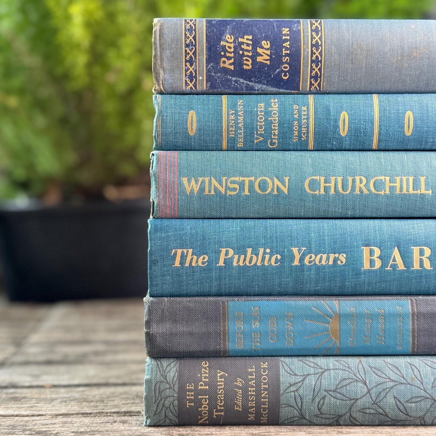 Navy Blue and Teal Vintage Book Bundle For Shelf Styling
