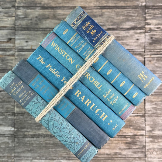 Navy Blue and Teal Vintage Book Bundle For Shelf Styling