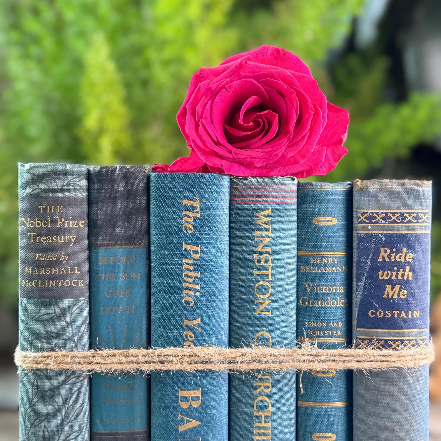Navy Blue and Teal Vintage Book Bundle For Shelf Styling