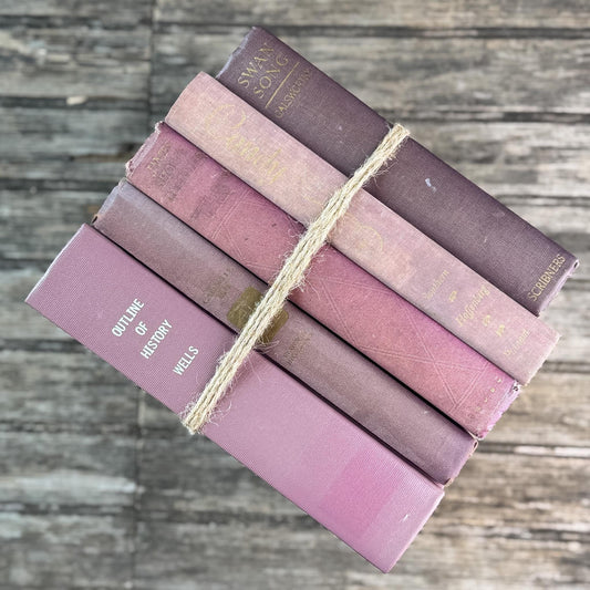 Vintage Purple Shabby Faded Vintage Books for Shelf Styling