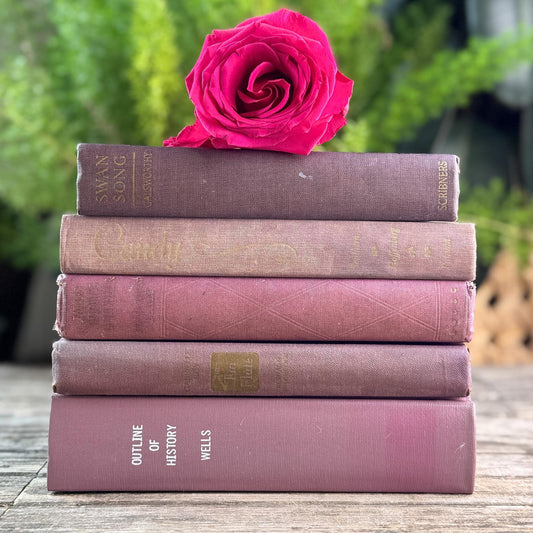 Vintage Purple Shabby Faded Vintage Books for Shelf Styling