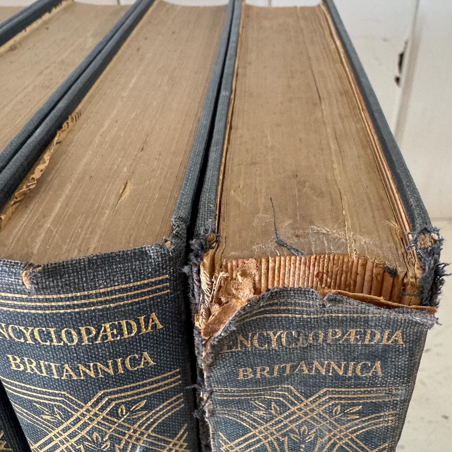 1932 Encyclopedia Britannica, 14th Edition, 1932, Complete Set, Large Blue and Gold Book Set
