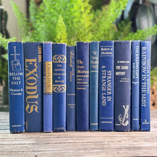 Vintage Navy Blue Book Set for Shelf Styling