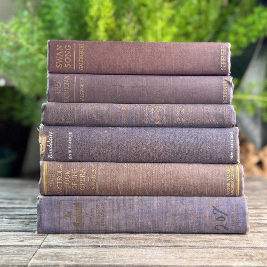 Vintage Mauve and Purple Shabby Vintage Books for Shelf Styling